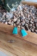 Load image into Gallery viewer, Roam Wild Studs