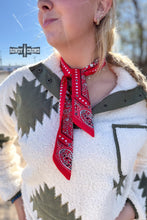 Load image into Gallery viewer, Texas Tango Twillie