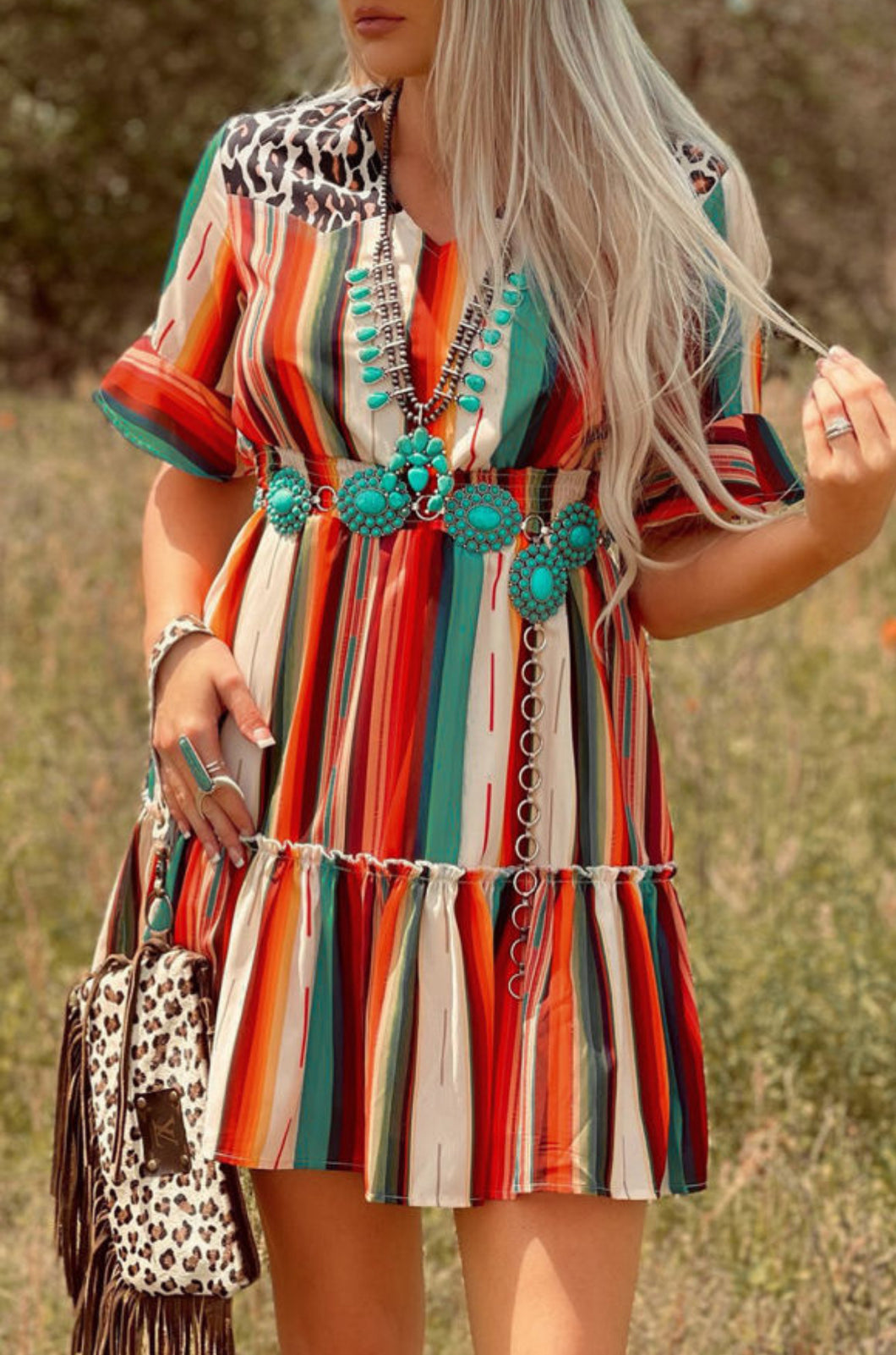 Wild Ride Dress