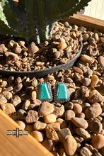 Load image into Gallery viewer, Roam Wild Studs
