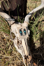 Load image into Gallery viewer, Saguaro Drifter Studs
