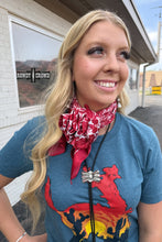 Load image into Gallery viewer, Red Lodge Wild Rag
