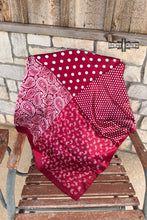 Load image into Gallery viewer, Paisley Dot Wild Rags
