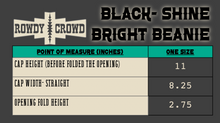 Load image into Gallery viewer, BLACK- Shine Bright Beanie

